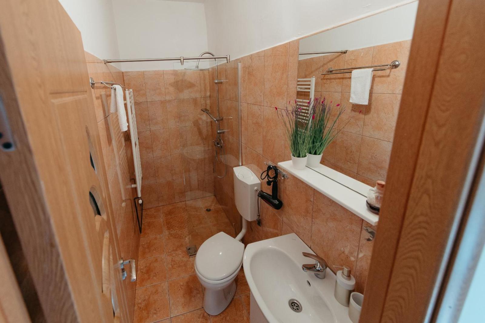 Flh - Apartament Mai Cu Aroma De Cafea Si Ceai Sibiu Ngoại thất bức ảnh